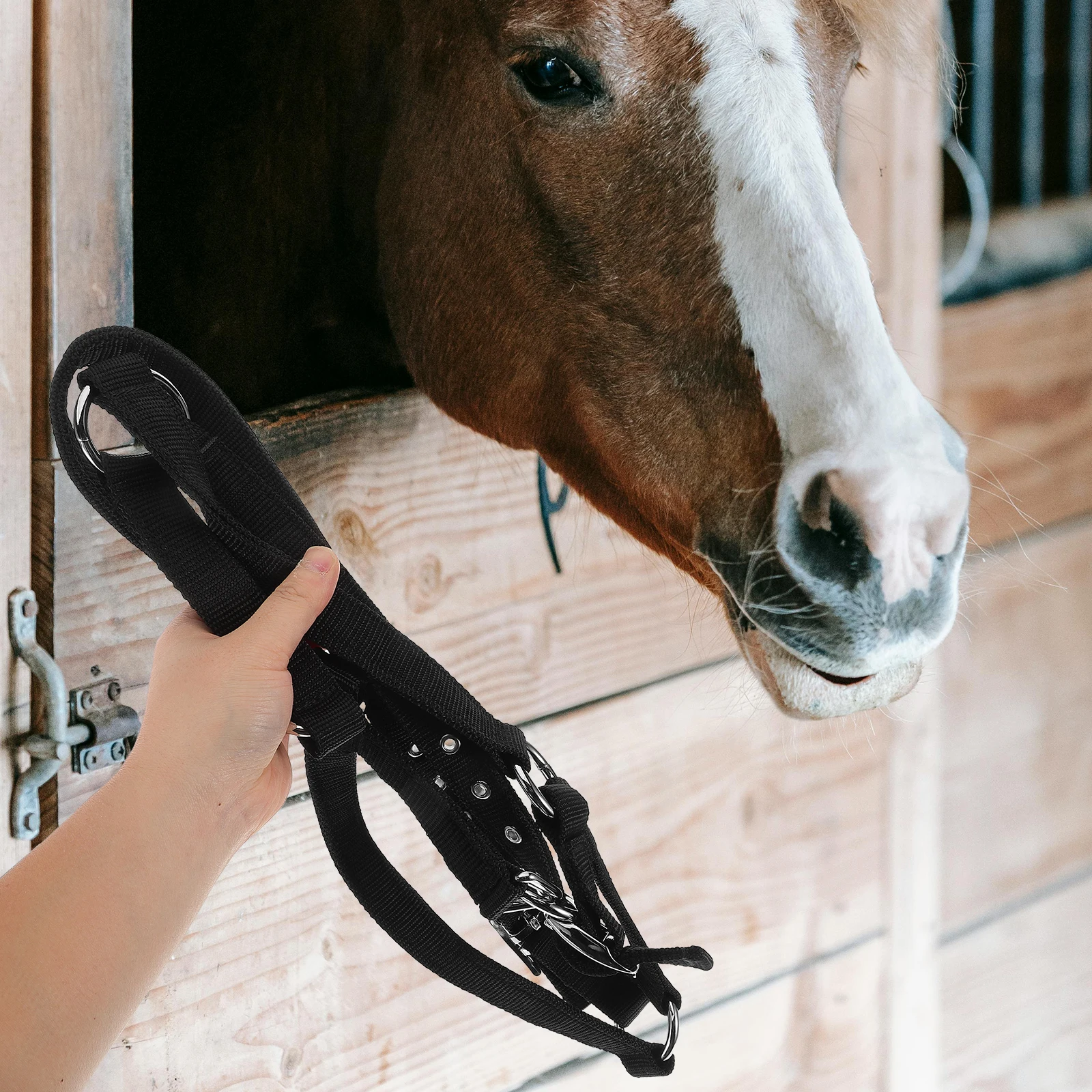 

Horse Rope Set Equestrian Training Breakaway Feature Adjustable Nylon Comfortable Padded Children Sheep Halter Large Horse