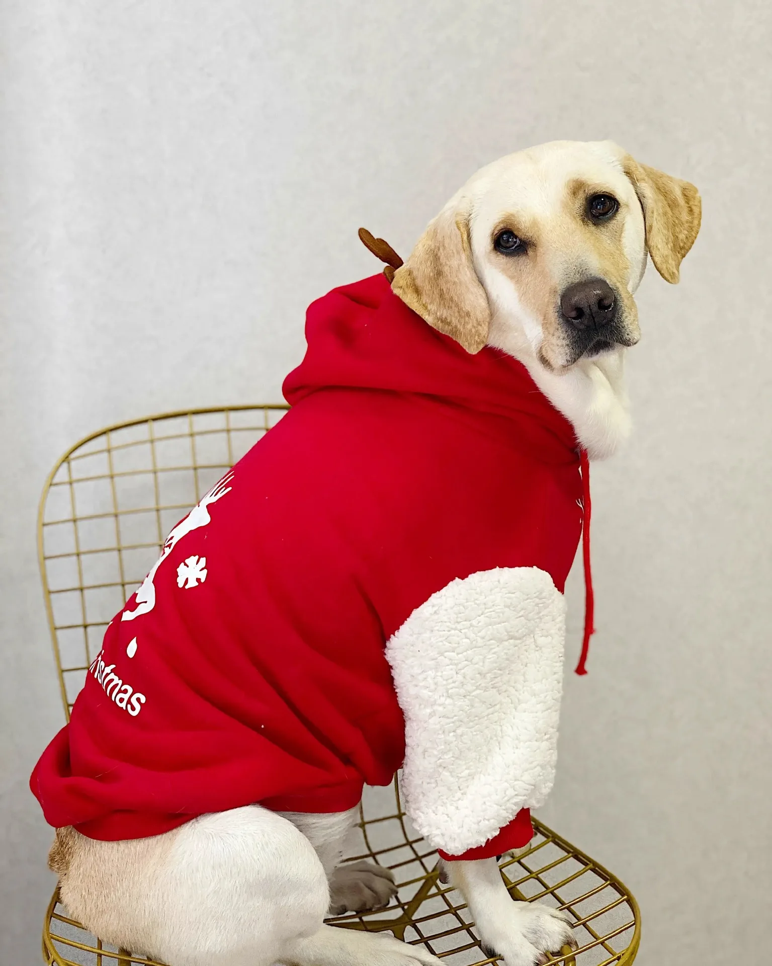 Pet Dog Clothes Winter Warm Cotton Fleece Christmas Fawn Sweatshirt Large Dog Golden Retriever Labrador