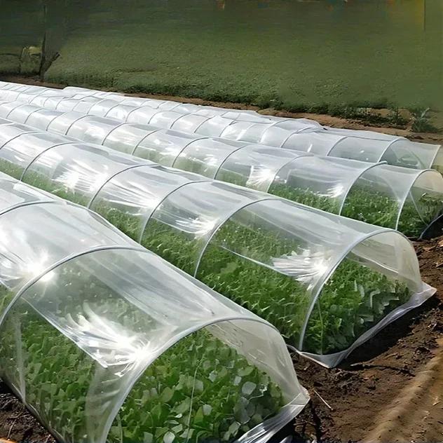 Vegetable Seedling Special Cold Resistant Film Agricultural Small Arch Greenhouse Films Transparent Plastic Film Dust Waterproof