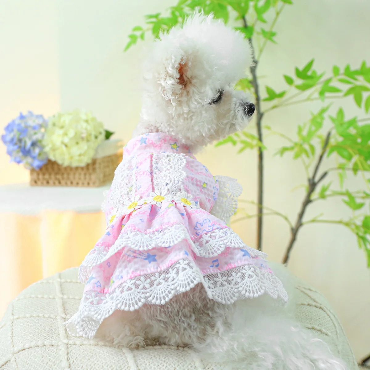 

Daisy Designer Girl Dog Dresses Lace Edge Summer Spring Tutu Skirt for Kittens Sweet Pink Princess Cat Pet Clothing