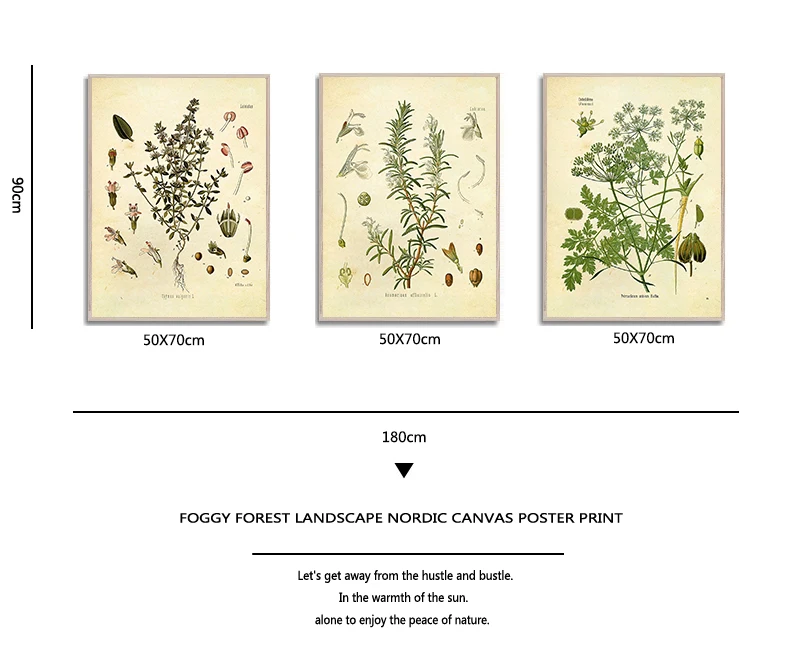 التوابل الأعشاب طباعة Vintage النباتية المشارك البقدونس حكيم إكليل الجبل الزعتر الطهي جدار صورة فنية قماش اللوحة ديكور المطبخ #5