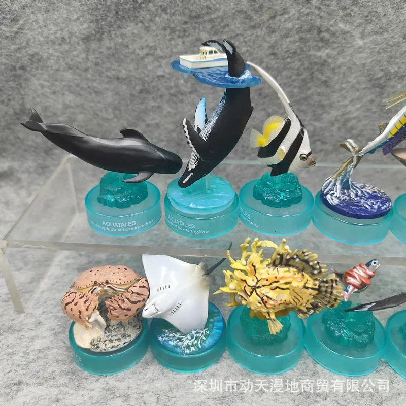 12pcs/set Japan Marine Undersea Petrochemical Organisms Model Table Decor Simulation Figures Brain Training Toys Hobbies Gifts