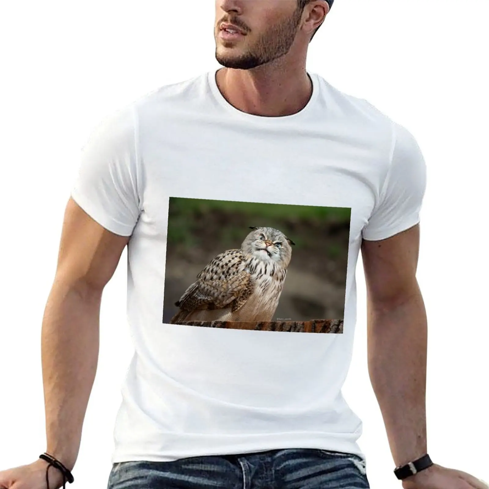 

Angry cat-owl T-Shirt t shirt for man man t shirt graphic printed t shirts for man T-shirt
