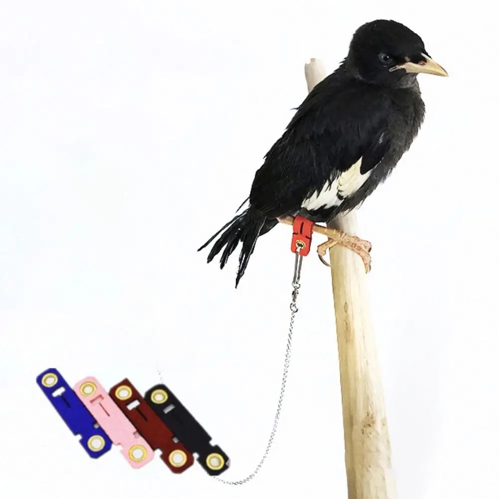 Soft Velour Leather for Sparrow Budgie Pet Accessories Bird Buckle Rings Ankle Foot Chain Parrot Leg Ring Bird Foot Cover