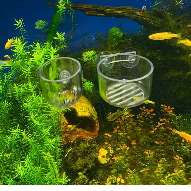 

Aquarium Plant Pot Glass Cylinder Cup With Suckers For Cultivate Aquatic Plant Seeds Coral Moss Fish Tank Decoration Accessory