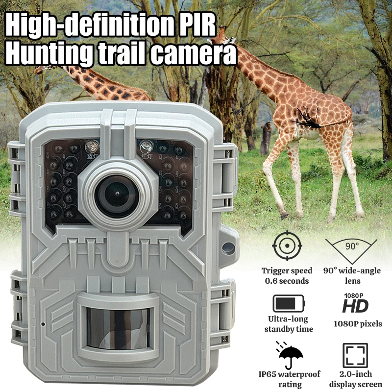 Cámara de rastreo de vida silv - Garden Camera reseña y precio