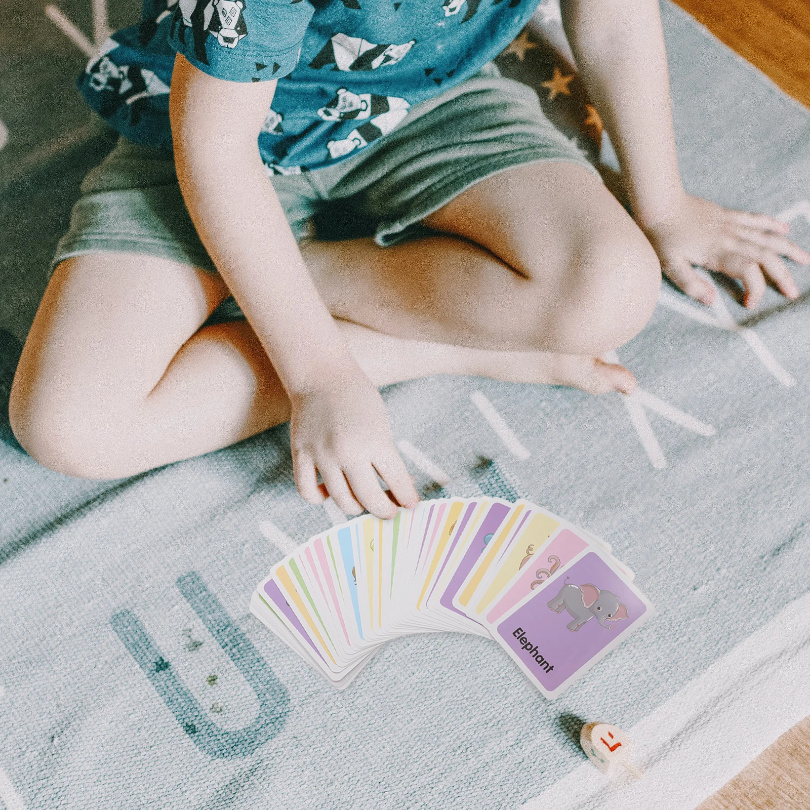 Cartes d'éducation précoce, 4 boîtes, Flashcards préscolaires, jouet d'apprentissage cognitif, jouets portables en papier, enseignement pour tout-petits