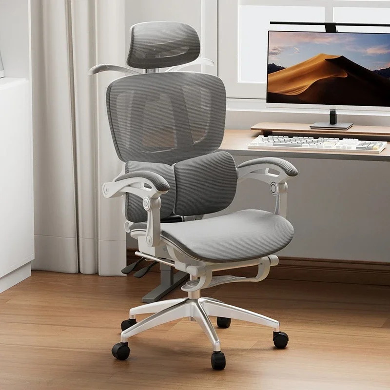 Ergonomic chair, home, breathable, lunch break, game e sports, sedentary comfort, office