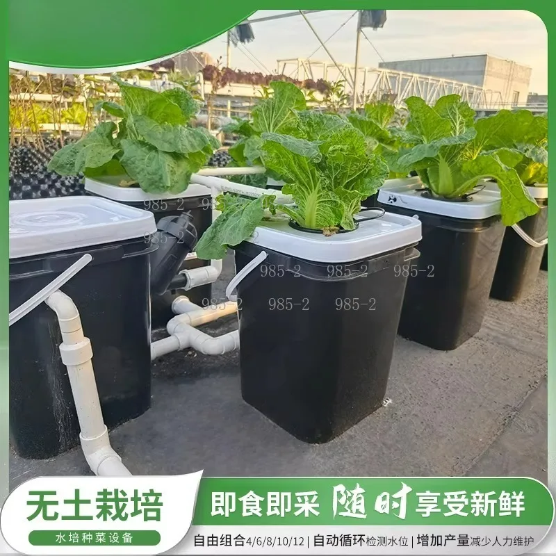 Soilless Cultivation Equipment, Home Balcony RDWC System, Bucket Planting Grow System