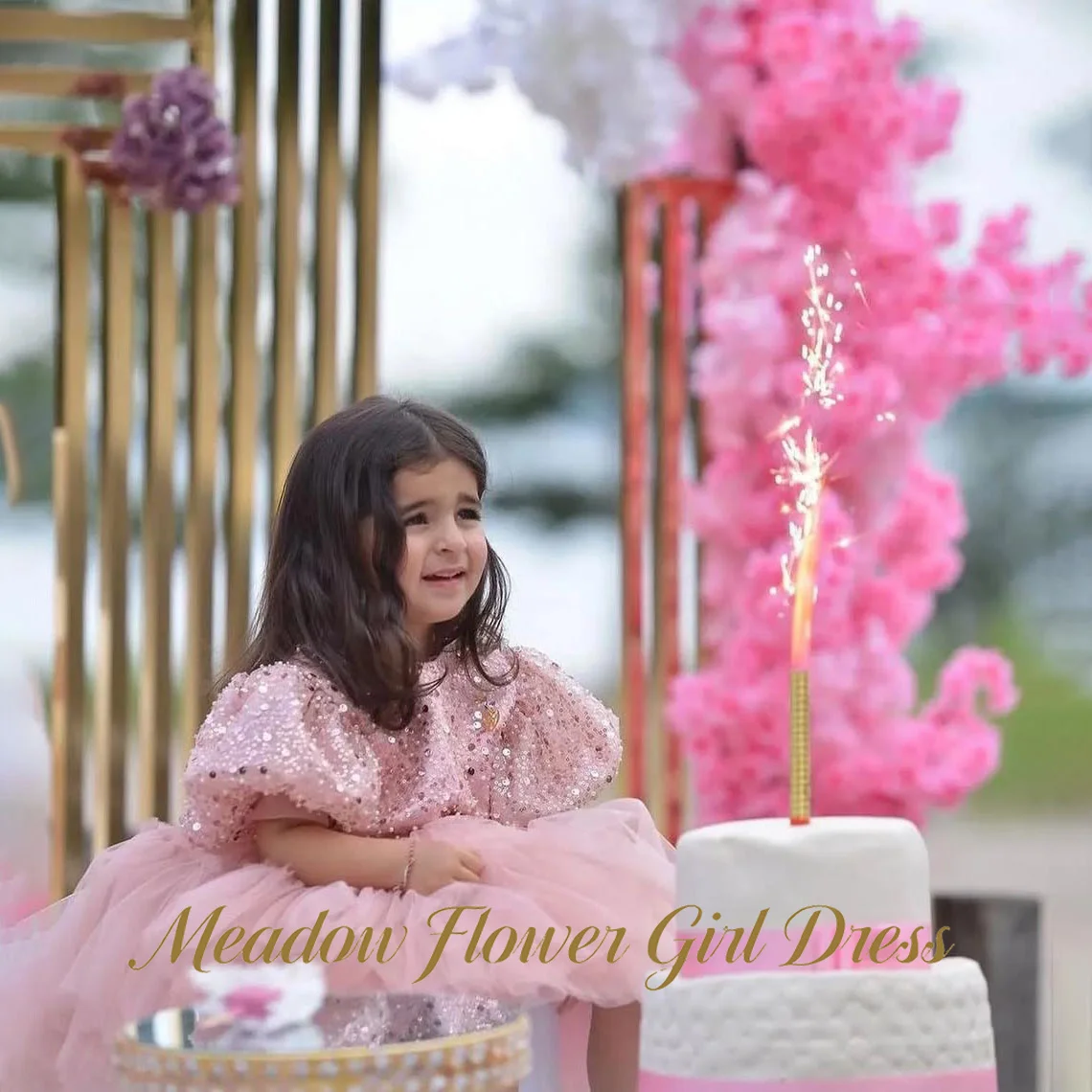 

Meadow Blush Pink Sequin Children Birthday Wedding Dresses Round Neckline Flower Girl Dress Puffed Sleeve Princess Girls Dress