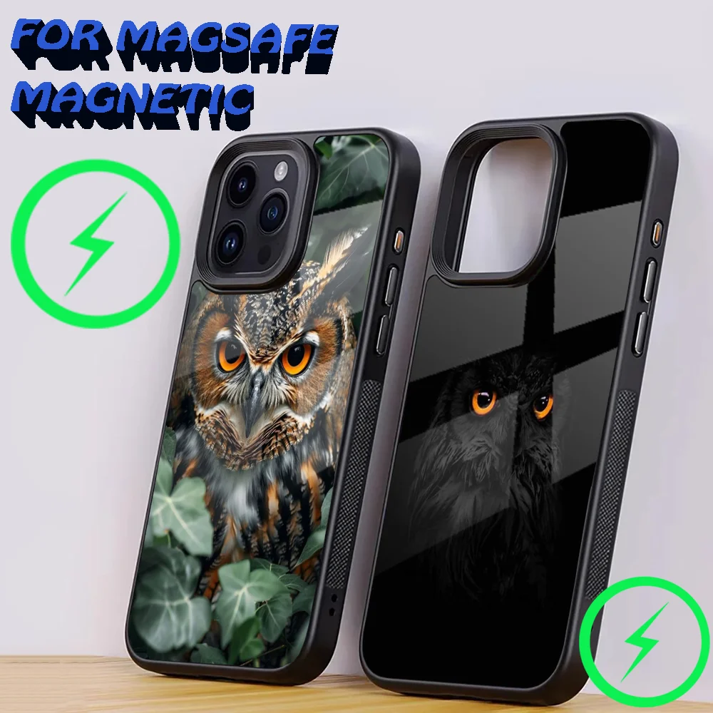 

Colorful Owl Bird Phone Case For iPhone 15,14,13,12,11,Plus,Pro,Max Mini Magsafe Magnetic Wireless Charging