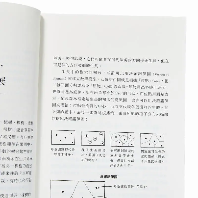 Mathematics Is The Best Guide To Life Learn To Be Efficient In Doing Things From Geometry Master The Advantage Of Noncomparison
