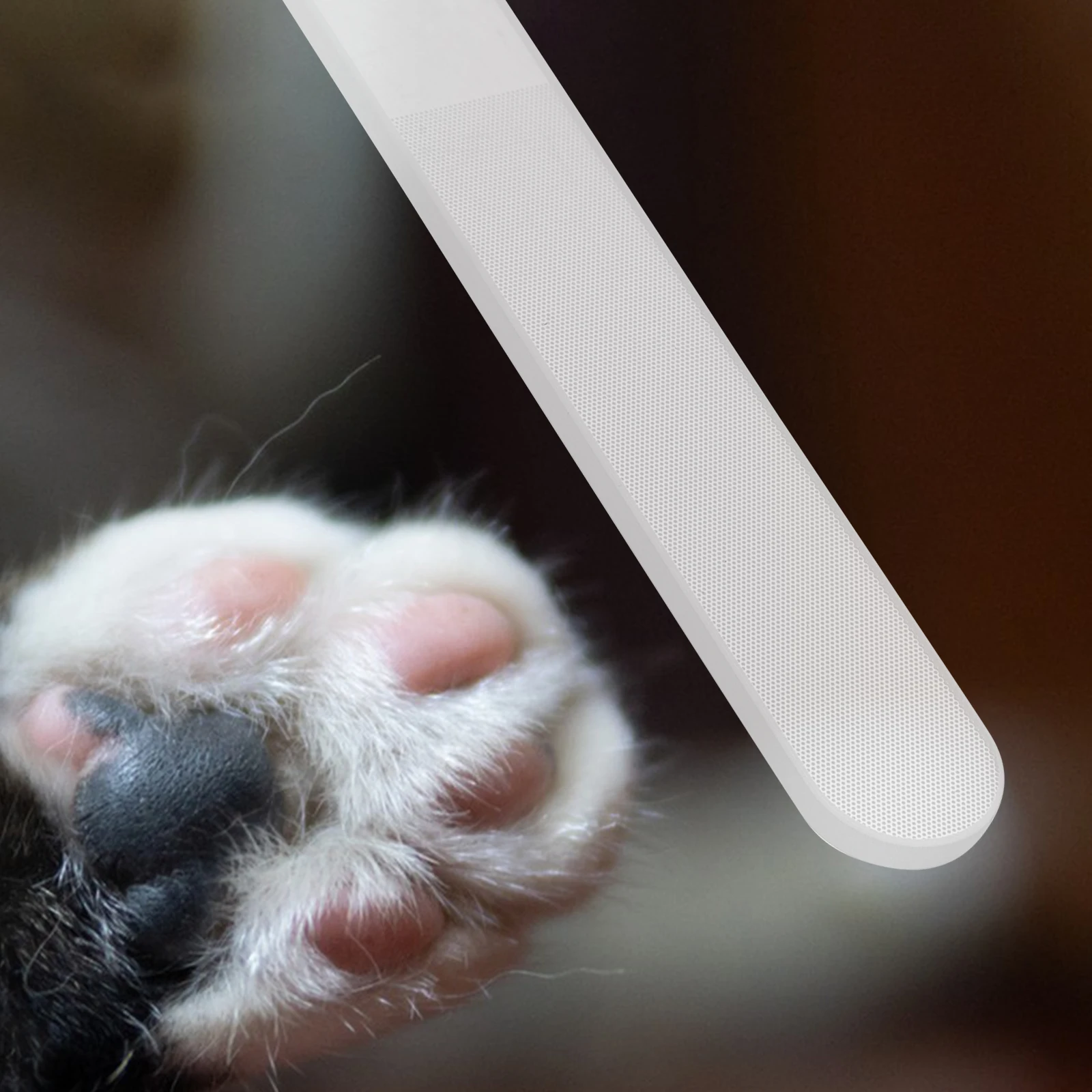 

Pet Nail File Lightweight Safe Cat Rabbit Grooming Tool Non Slip Handle Plastic Box Round Head Suitable Breeds Portable