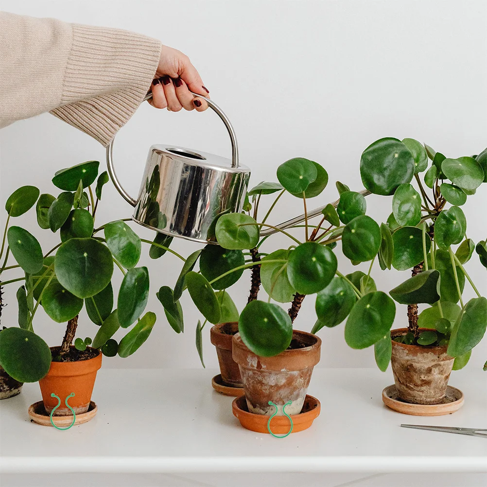 

100Pcs Plant Stem Holders Plastic Durable Stem Support for Garden Flowerpot Bonsai Crop Plants Fixed Holder Rack