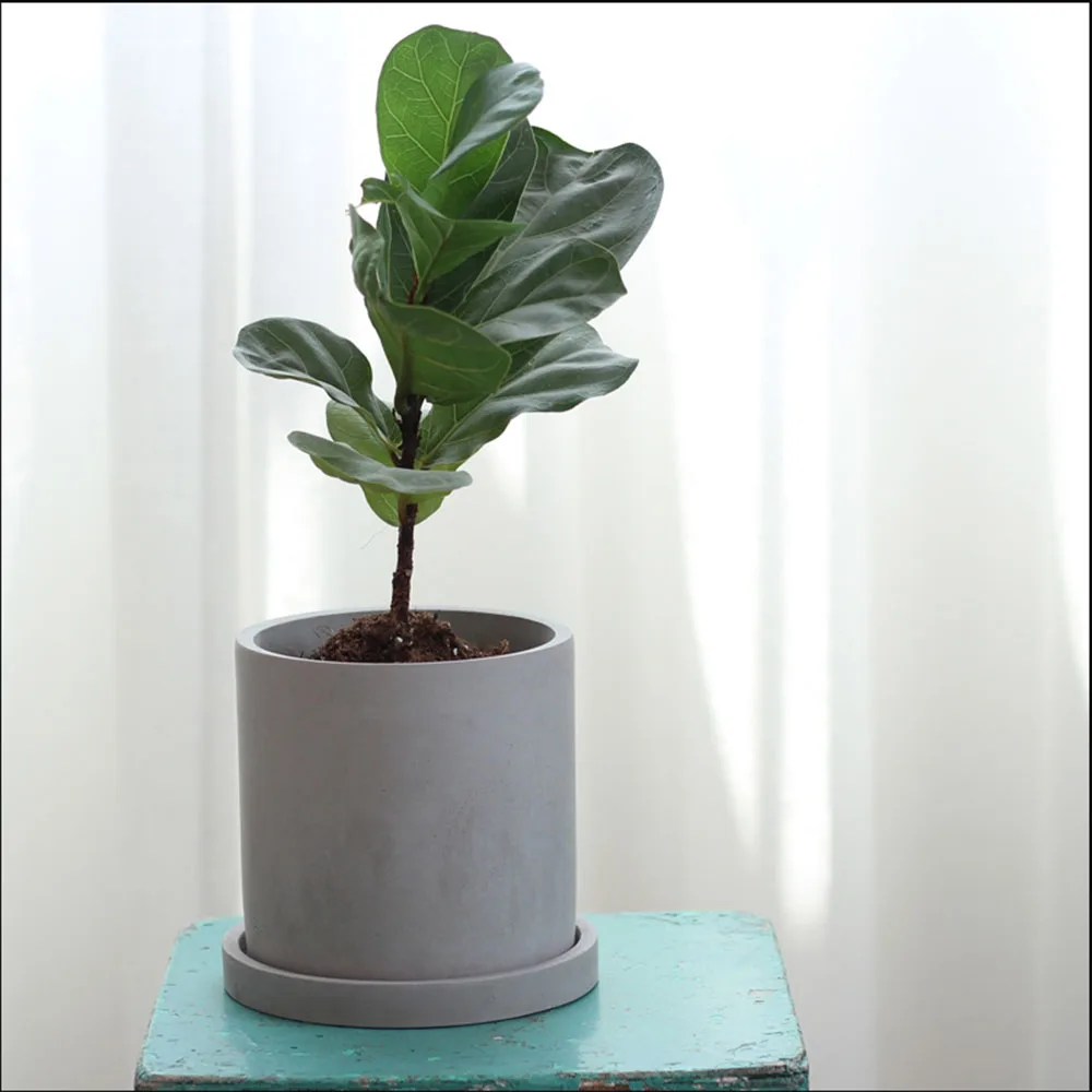 

15CM Minimalist Cement Pot Mold - Wide Base Round Silicone Mold for Floor Potted Plants, Scandinavian Concrete Planter DIY Craft