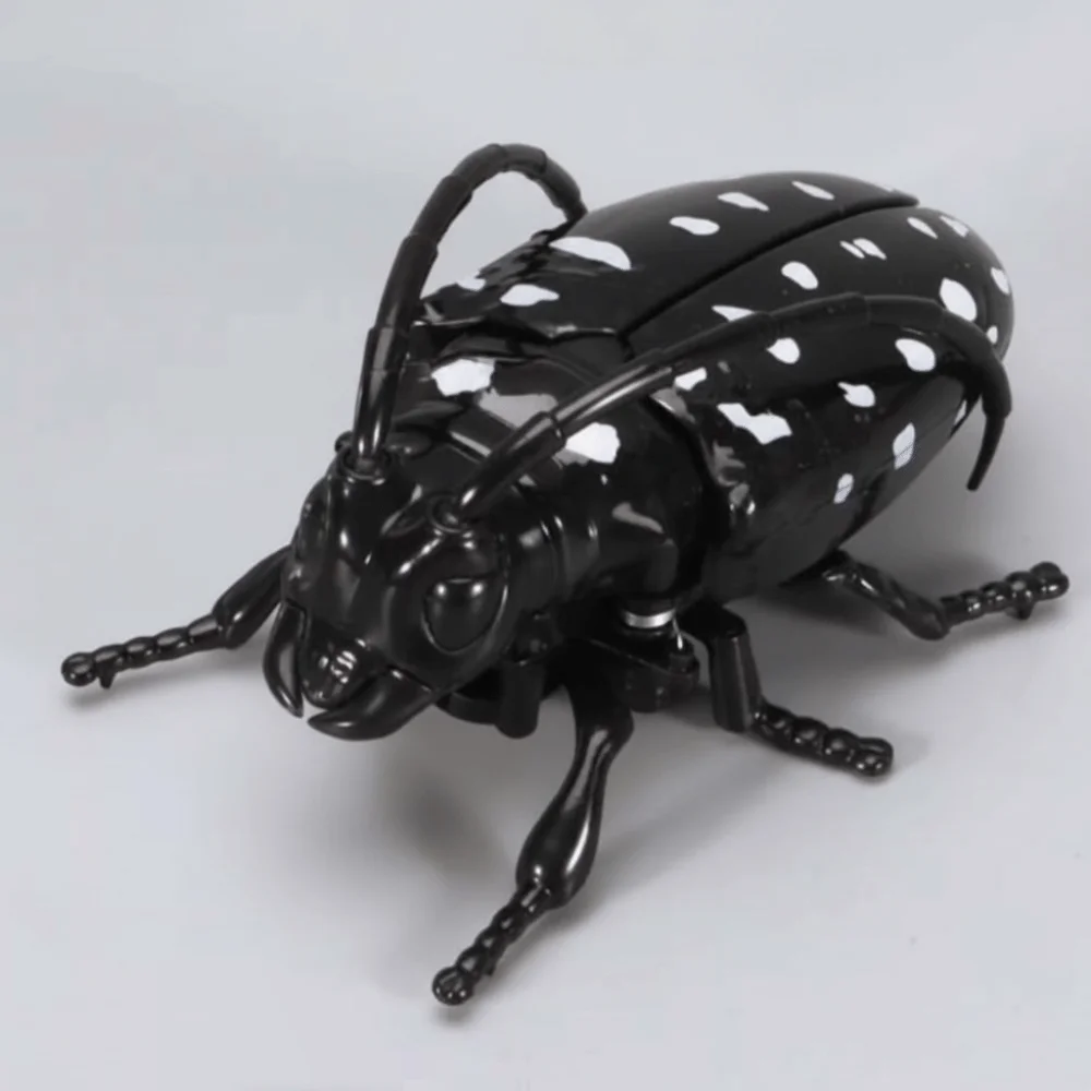 

Bee Beetle Chain Winding Insect Plastic Animals Cicada Scarab Insect Model Realistic Design Simulation Wind Up Insect