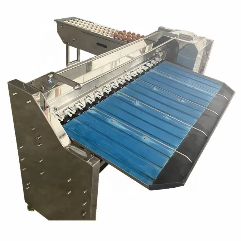 Customized 6 Sizes Large Capacity Egg Sorting & Grading Machine with Bearing Food Grade Stainless Steel Bakery Use