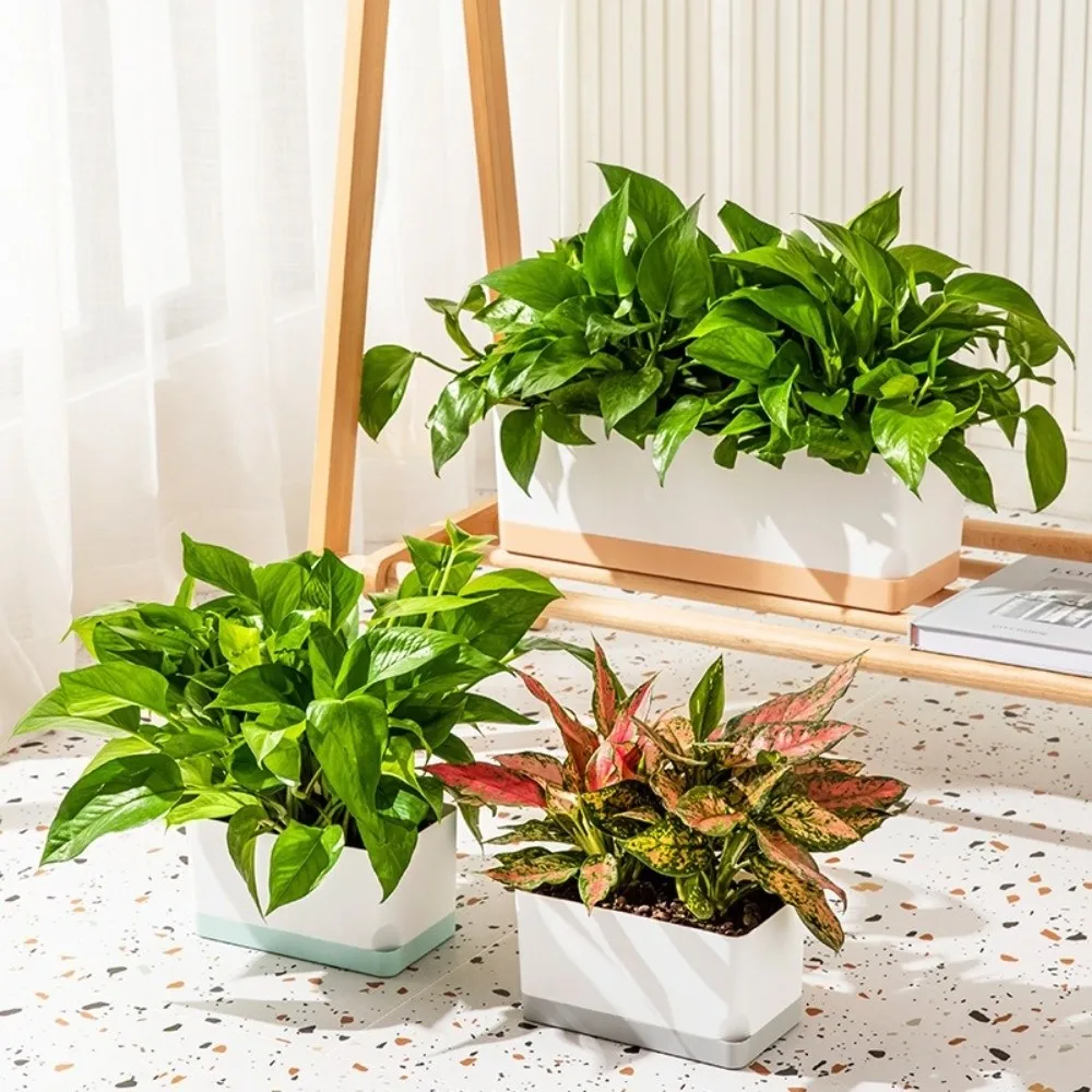 Square Shape Self Watering Plant Pots 2-Layer Design Patchwork Plant Pots Drainage Hole Plastic Lazy Flowerpot Outdoor