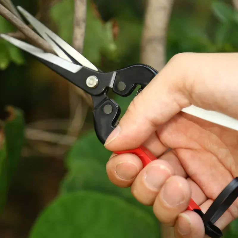 Dobeli SK5 Steel Sharp Blade Point Head Garden Scissors Flowers Pruner Fruit Branch Pruning Tool Cutter For Bonsai Plants