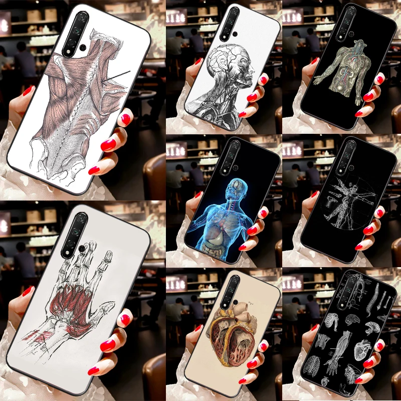 Human Anatomy For H… - image