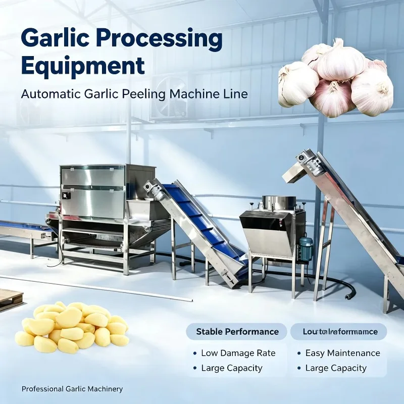 Customized Commercial Dry Garlic Peeling Equipment Industrial Complete Garlic Processing Production Line