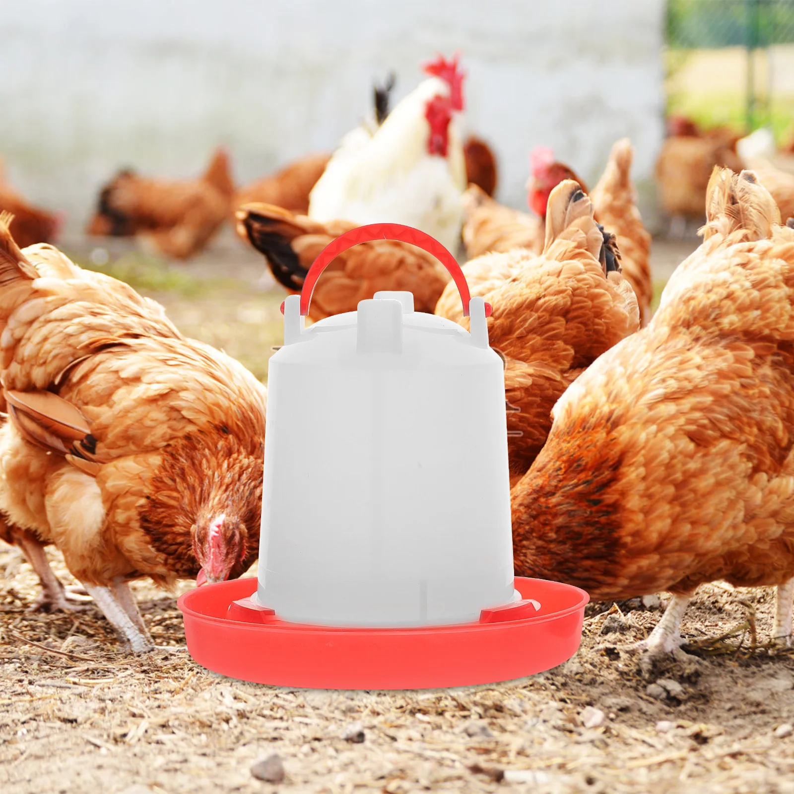 

Automatic Chicken Feeder Durable Plastic Multi use Poultry Feeding Box Chick Food Container Water Feeder for Chicken Clear