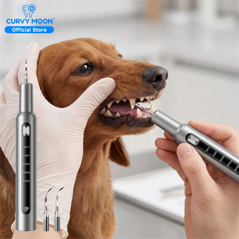 Hundezahnstein-Entferner für die Zahnreinigung, elektrische Zahnbürste mit LED-Licht, 5 einstellbare Modi, sicheres Zahnpflegegerät für Hunde – Detail 1
