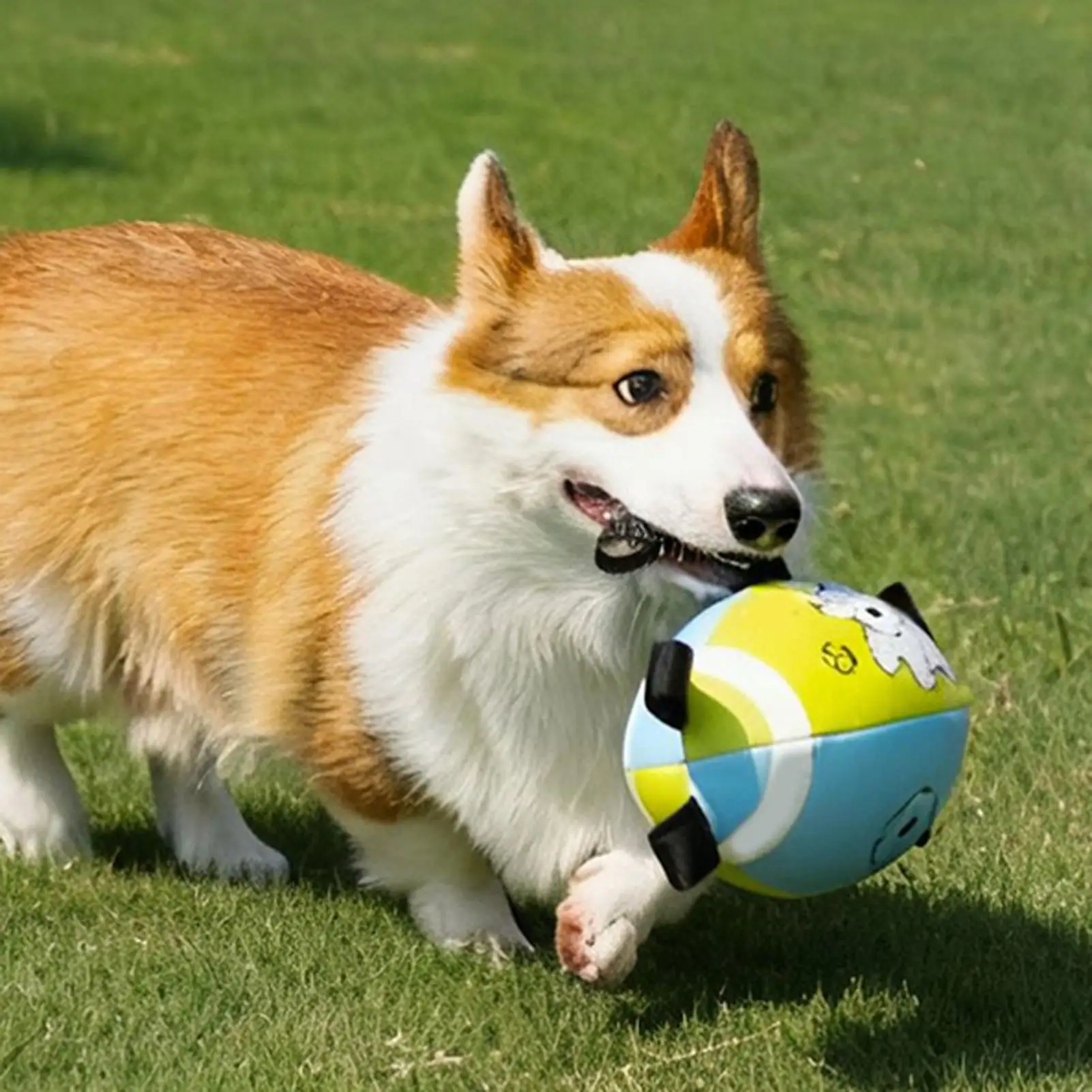 Dog Toy Football Interactive Chewing Sports Ball With Straps Interactive Dog Balls For Small Medium Large Breed Puppy Gum Health