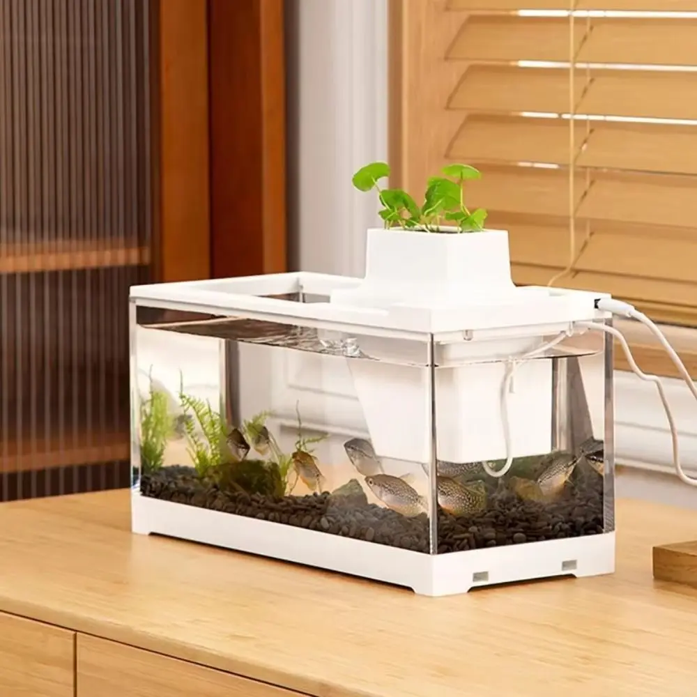 

With LED Light Mini Desktop Fish Tank Transparent Silent Aquarium Fish Box with Water Pump Filtering Micro Landscape Fish Tank