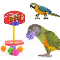 Parrot Intelligence for Parakeet Cockatiel Macaw Parrot Mini Basketball Set Interactive Birds Accessoires Training Pet Supplies