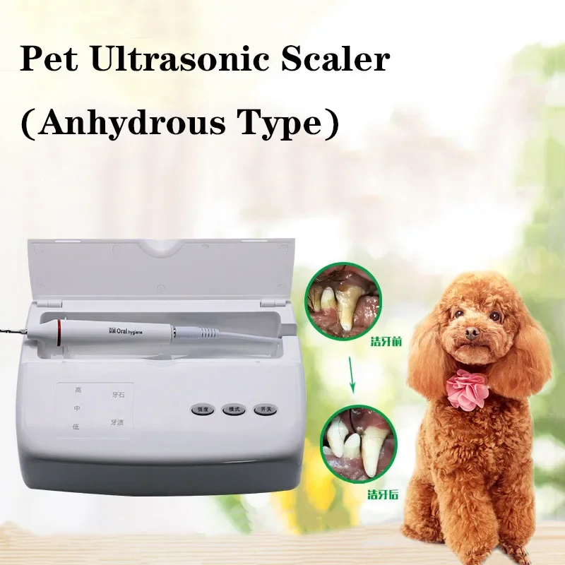 

VV Dental Pet Animals Ultrasonic Scaler for Remover Teeth Calculus Scaler For Dog Cat Tooth Plaque Stains Tartar Teeth Cleaning