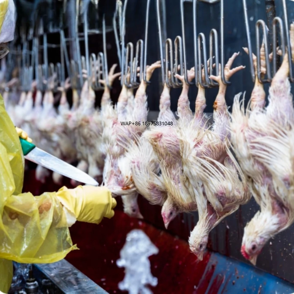 Slaughterhouse Equipment for Poultry Customized Chicken Killing Defeathering Machines Automatic