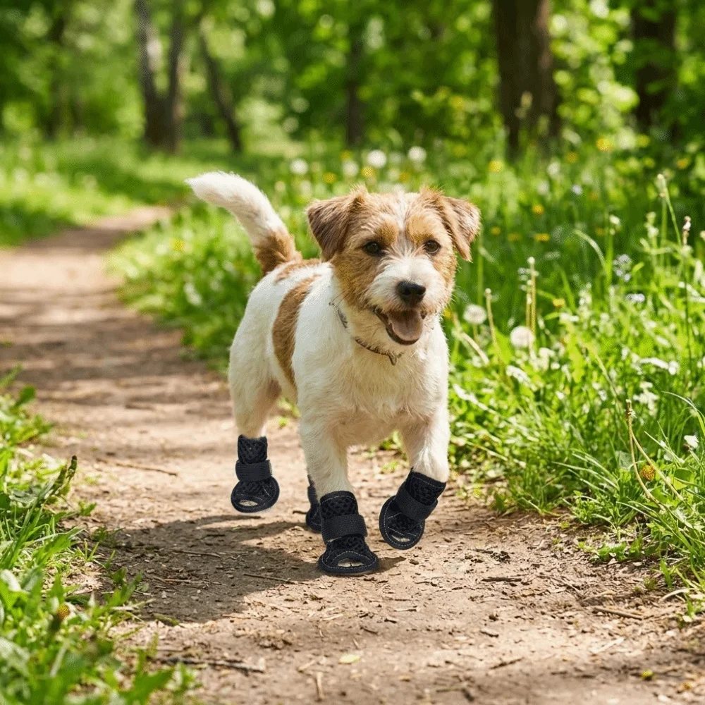 4Pcs/Set Non-Slip Su Dog Shoes Soft Waterproof Dog Paw Protector Comfortable Adjustable Breathable Pet Sandals Hardwood Floors