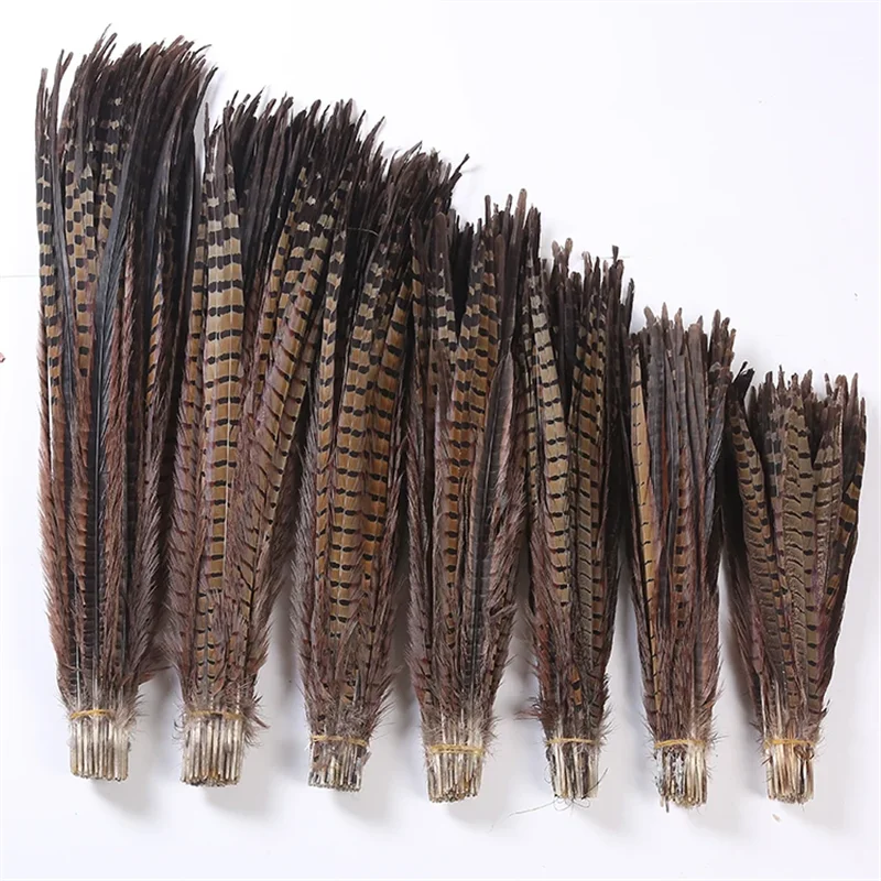 

100PCS 50-55CM 20-22" Natural Ringneck Pheasant Tails Feather Plumes For Carnival Headwear Backpieces Making Decorations Pluma