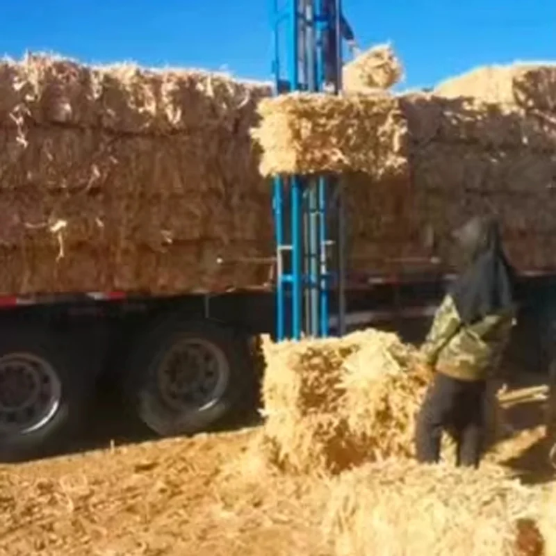 2M/2.5M Electric Hoist Customized Safety Electric Portable Freight Elevator Mobile Elevator Autoloading Elevator(Customized)