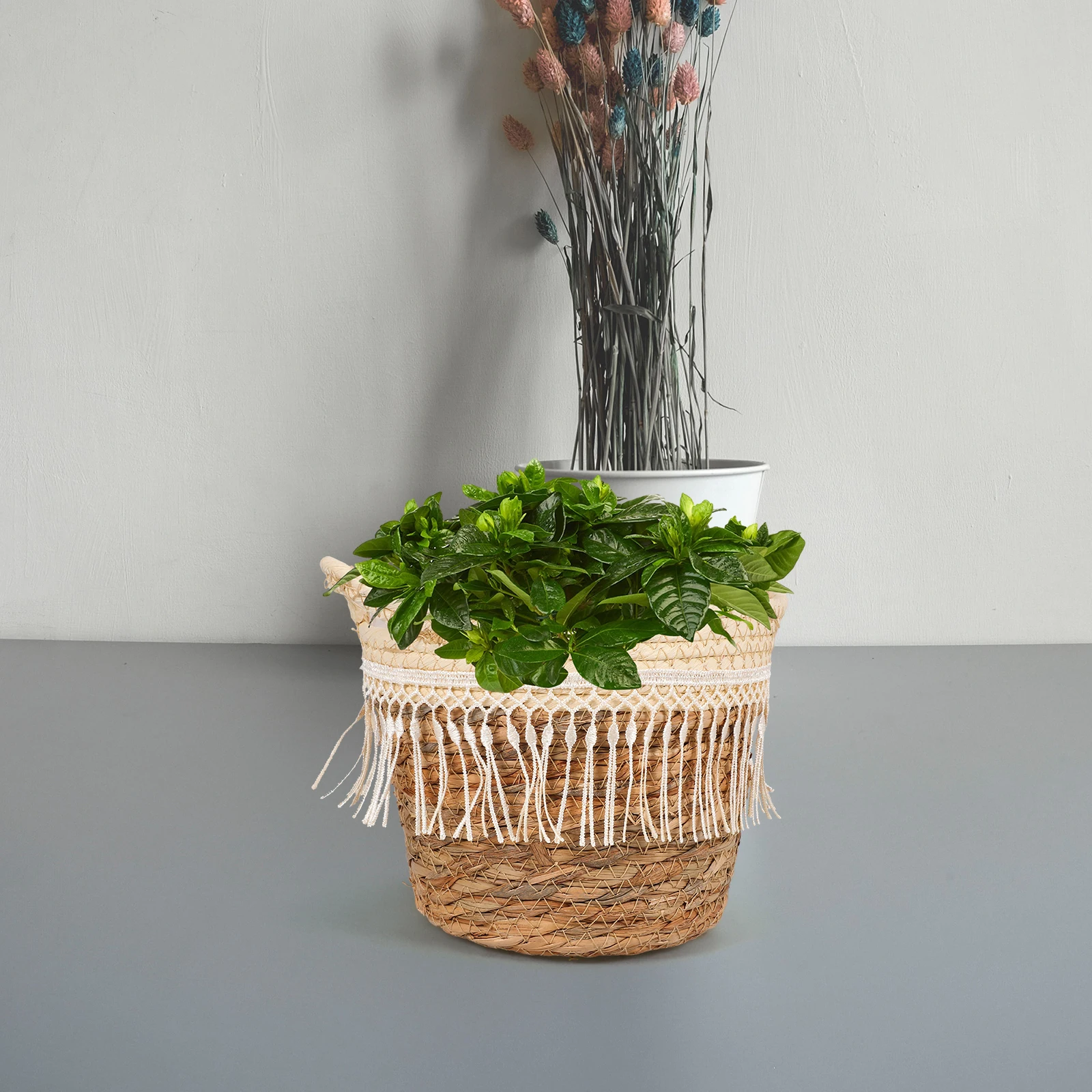

Woven Plant Pot Straw Rope Flower Basket Decorative Planter Glass Pots Indoor Plants PE Membrane Cotton Seagrass Storage
