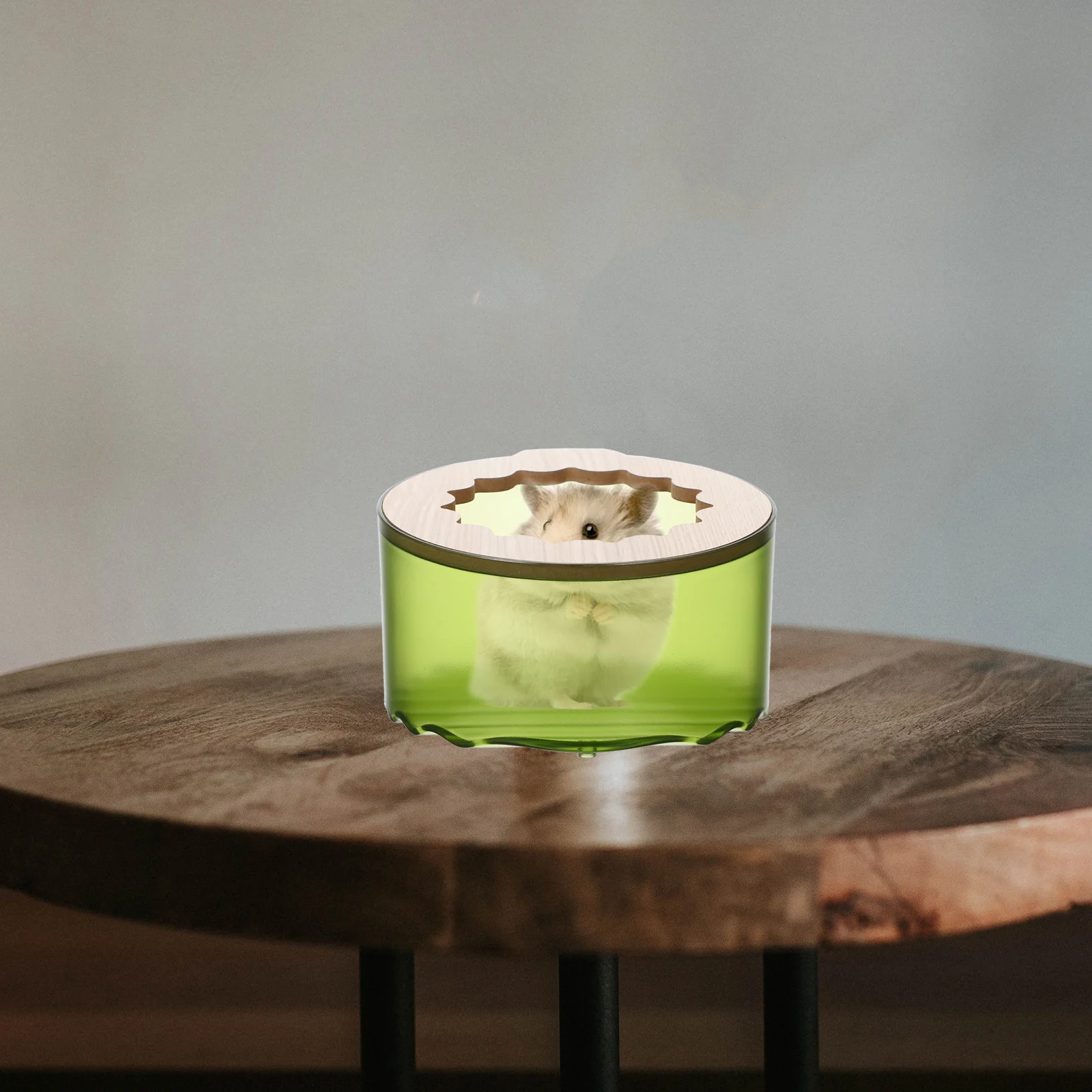 

Guinea Pig Toilet Hamster Hideout Elegant Sanitary Beneficial Health Fun Small Pet Accessories Hamster Sand Bath