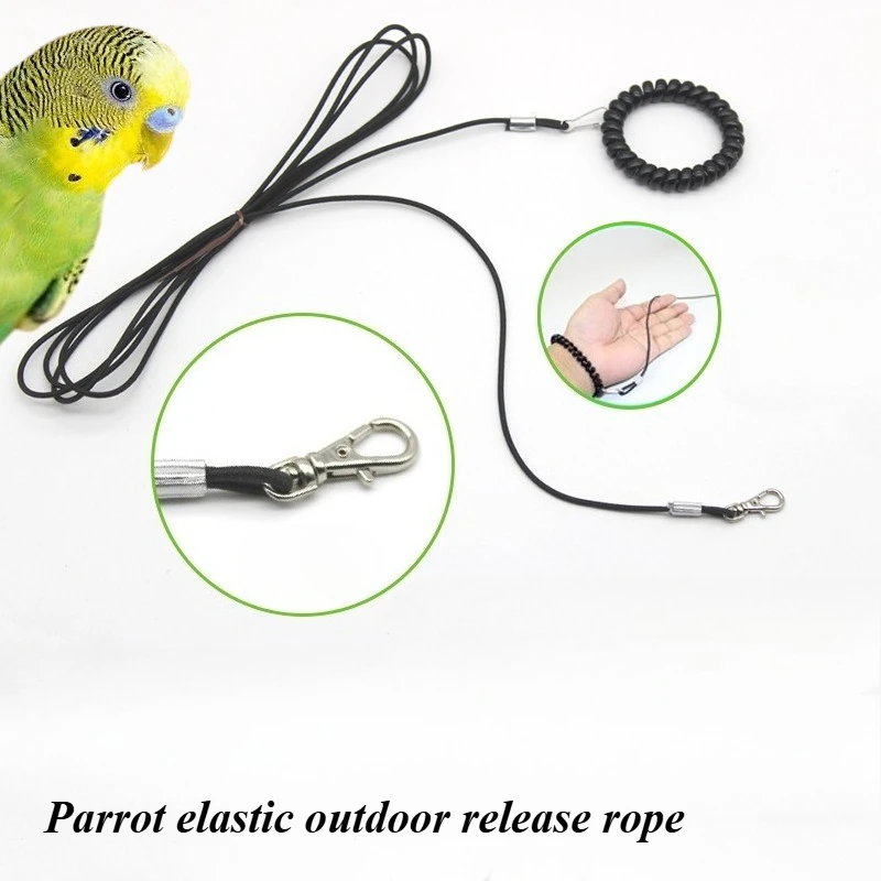 الحيوانات الأليفة الطيور التدريب في الهواء الطلق تسخير حبل الطيور القدم سلسلة الببغاء مكافحة تحلق الجر الأشرطة الطيور قدم سوار الطيور الملحقات #1
