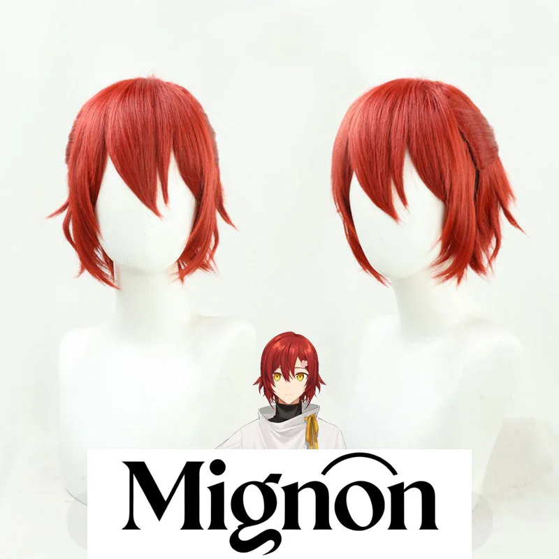 

Hololive VTuber Hanasaki Miyabi парик для косплея подарок на Хэллоуин