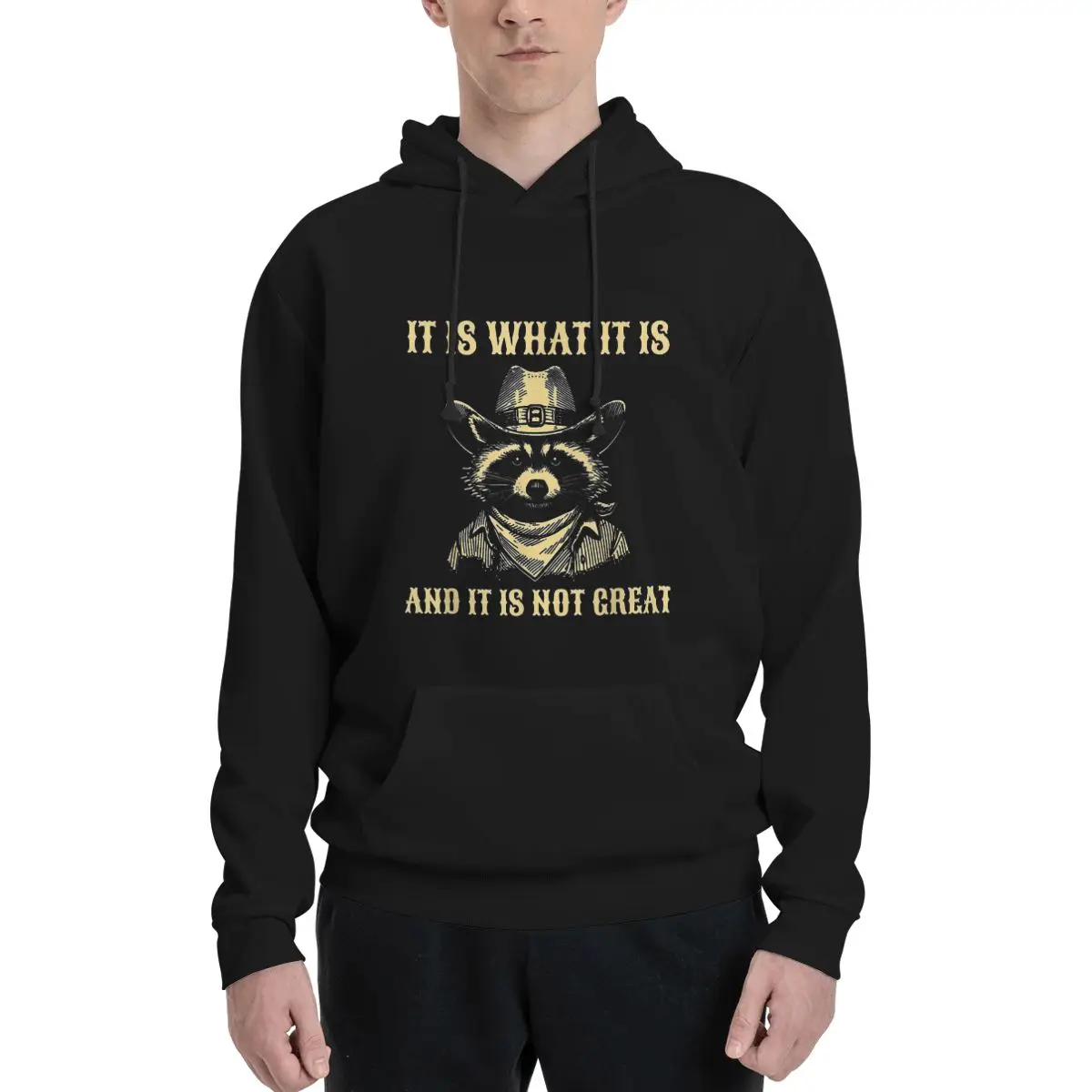 

It Is What It Is And It Is Not Great Funny Raccoon Polyester Hoodie Men's Sweatershirt Warm Dif Colors Sizes