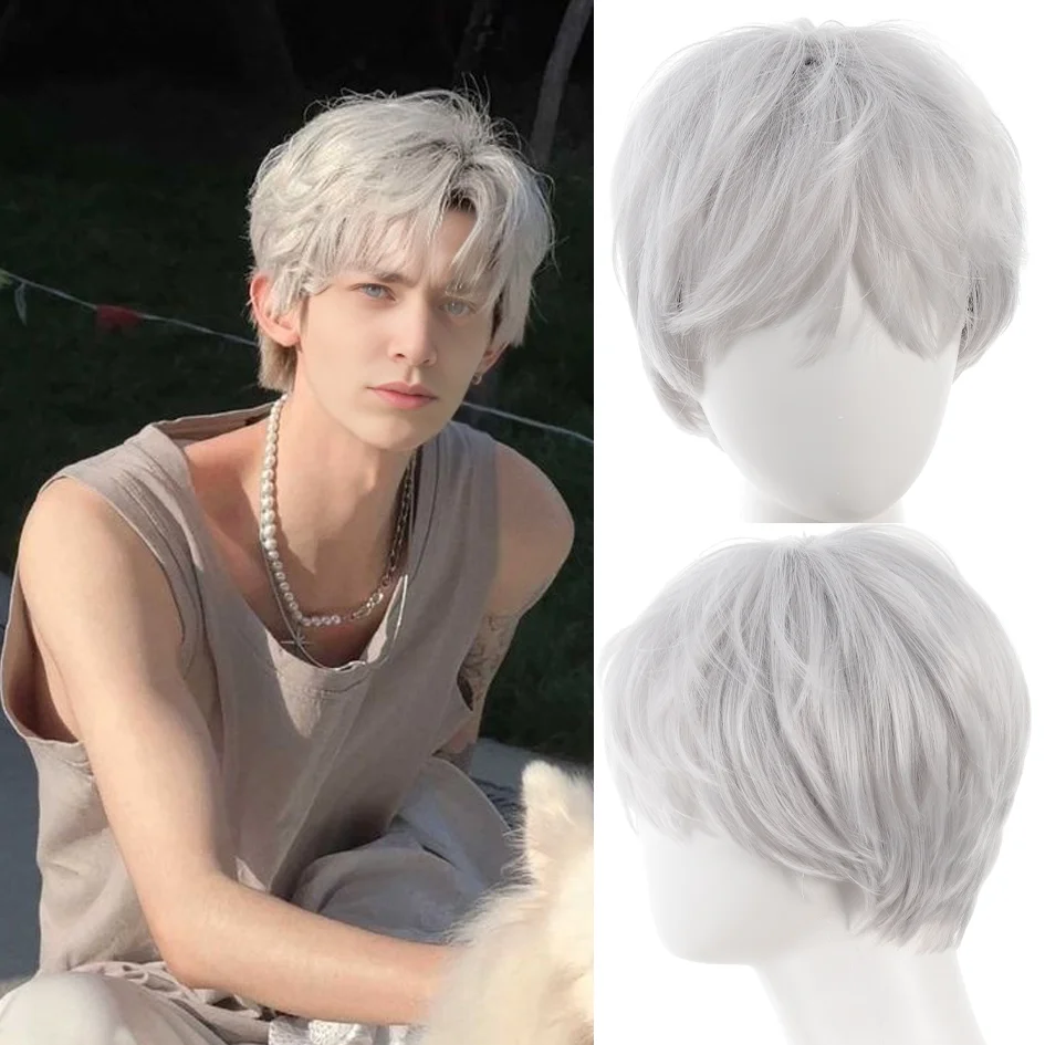 

Synthetic wigs for men broken cap 10cm short straight hair slightly curly silver white wig ponytail cosplay christmas gifts