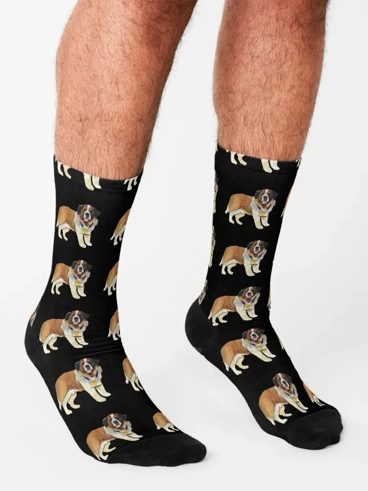 Ensemble de chaussettes Saint Bernard Cartoon pour hommes, chaussettes de sol pour filles