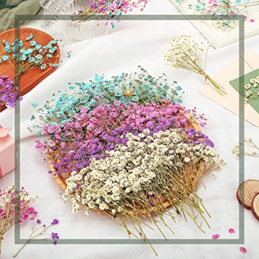 ดอกยิปโซฟิล่าแห้ง 200 ชิ้น ดอกยิปโซฟิล่าอบแห้ง กิ๊ปโซฟิล่าอัด กิ๊ปโซฟิล่าช่อธรรมชาติ กิ๊ปโซฟิล่ากิ่งสำหรับงานแต่งงาน