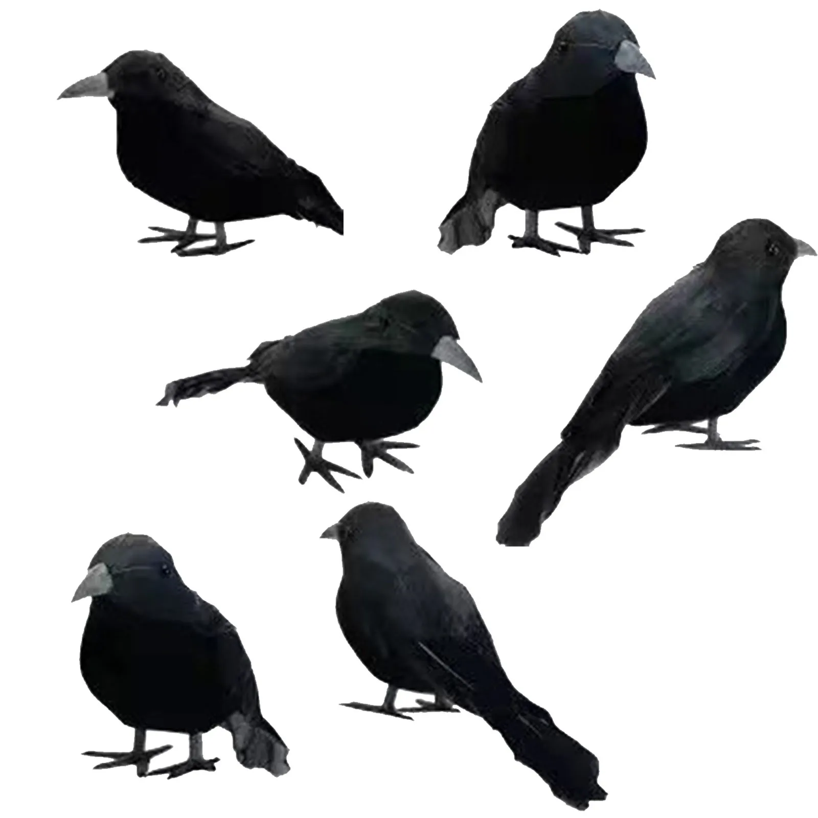 

6 Pieces Simulation Crow Real Black Crow Feather Black Crow Decoration Ornaments Halloween Horror Atmosphere Prop