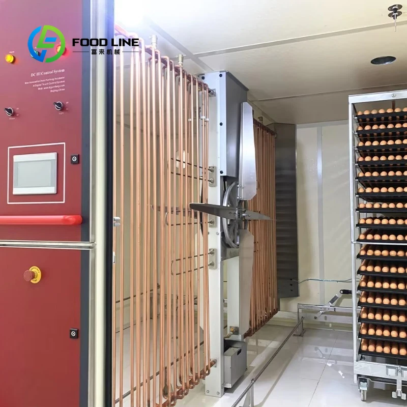 High-quality single-stage 40,000-capacity egg China Industrial Commercial Incubator