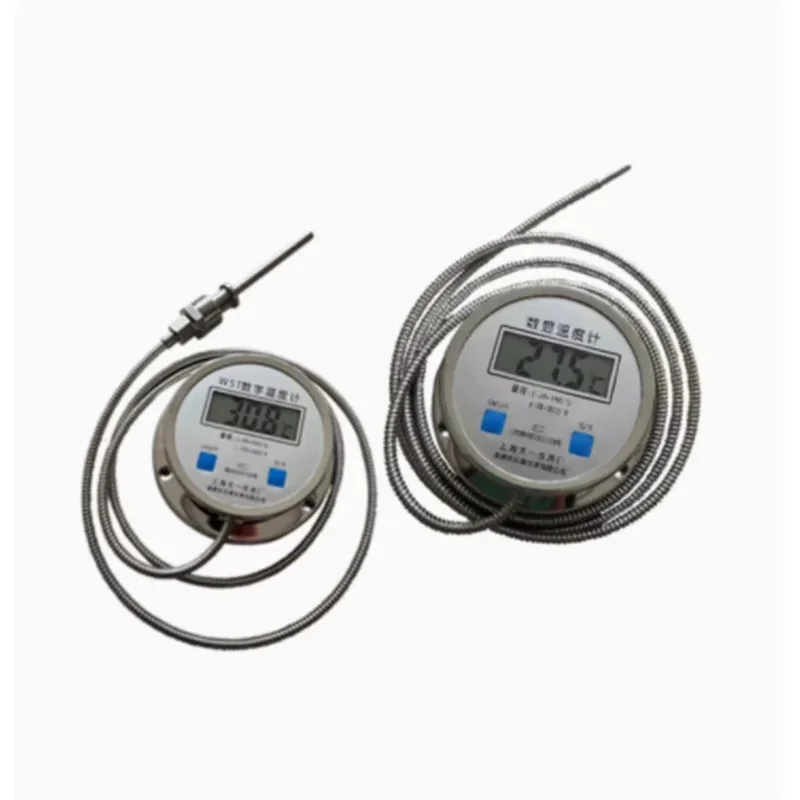 thermometre-avec-sonde-wst-dtm-491-jauge-de-temperature-de-l'eau-numerique-industrielle-de-haute-precision-en-acier-inoxydable-etanche