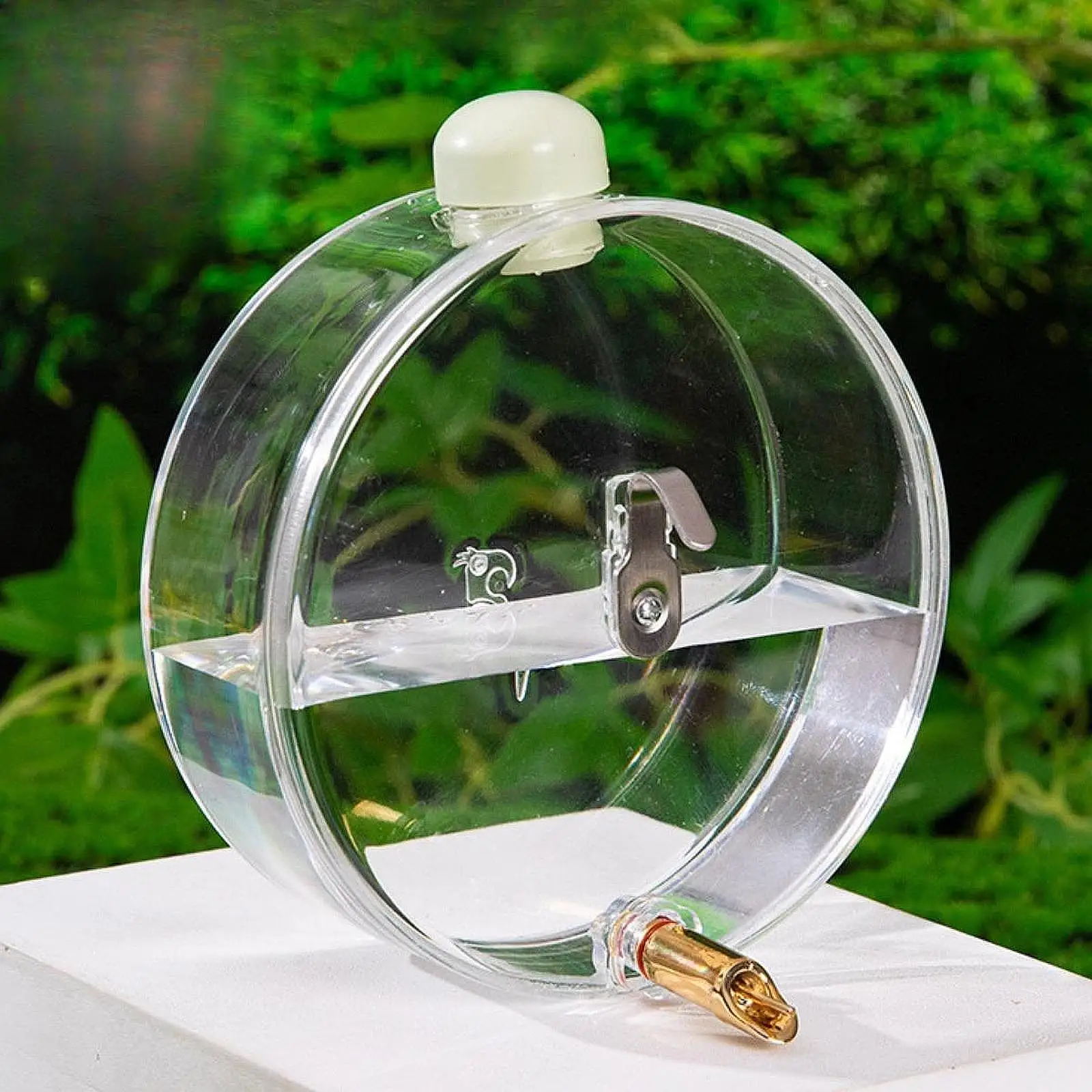 Bebedero automático resistente para loros y aves – Botella de jaula - imagen 2
