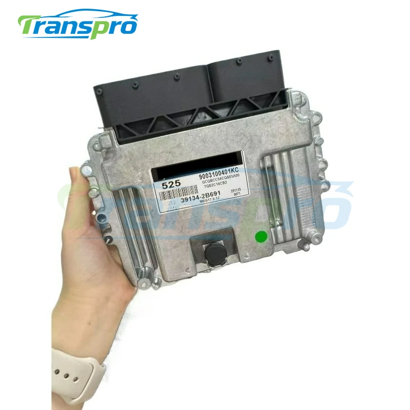 39134-2B691 New 525 ECU 391342B691 MEG17.9.12 Car Engine Computer Board Electronic Control Unit Fits for KIA Hyundai ECM