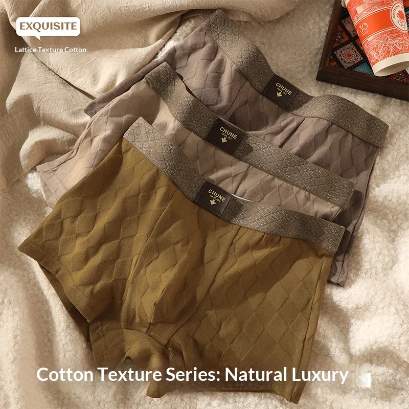 Herrenunterwäsche: Neuartige 100% Baumwoll-Boxershorts – Atmungsaktiv, Bequem und Antibakteriell; Herbst/Winter Boxershorts