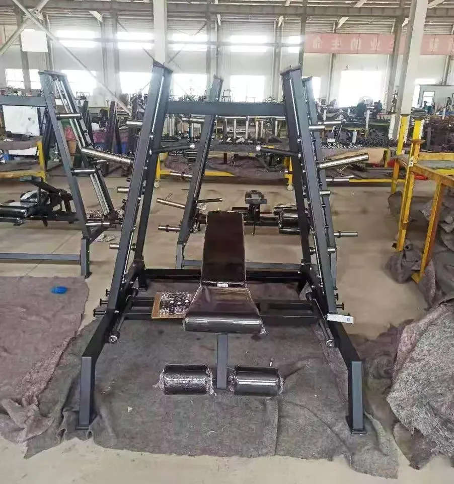 Longotech Gym Fitness Plate, Seased Loaded Chest souhaits, Incline Bench, Tower Trainer, Smith Machine